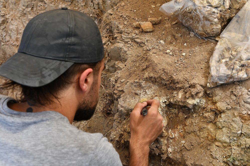 Kayseri'de Fosil Bulunan Alandı Kazı Çalışmaları Yeniden Başladı