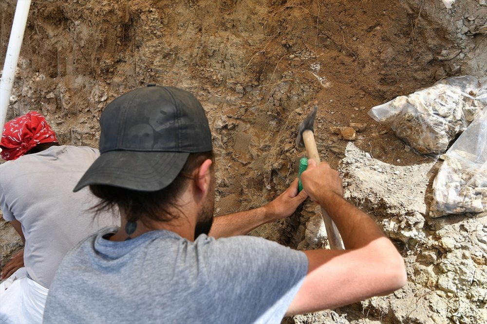 Kayseri'de Fosil Bulunan Alandı Kazı Çalışmaları Yeniden Başladı
