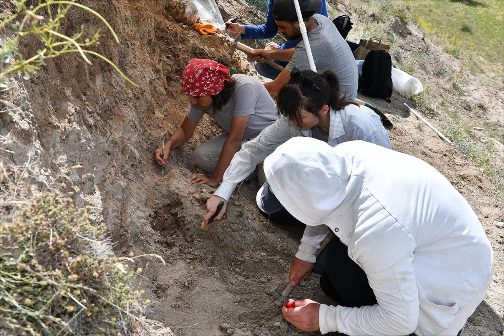 Kayseri'de Fosil Bulunan Alandı Kazı Çalışmaları Yeniden Başladı