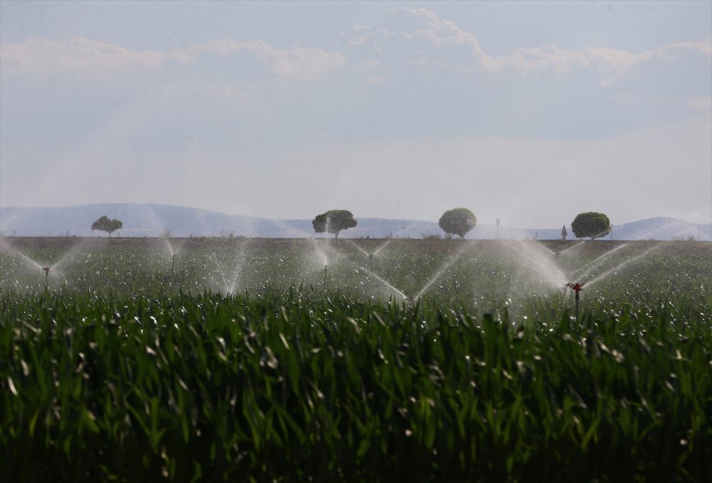 Konya Ovası 1. 2. Ve 3. Kısım Sulamaları Hizmete Alma Töreni