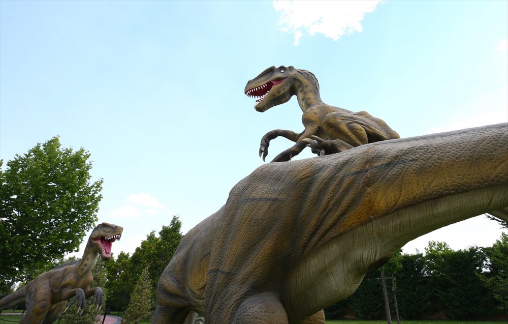 Küçüklere ve Büyüklere Hitap Ediyor