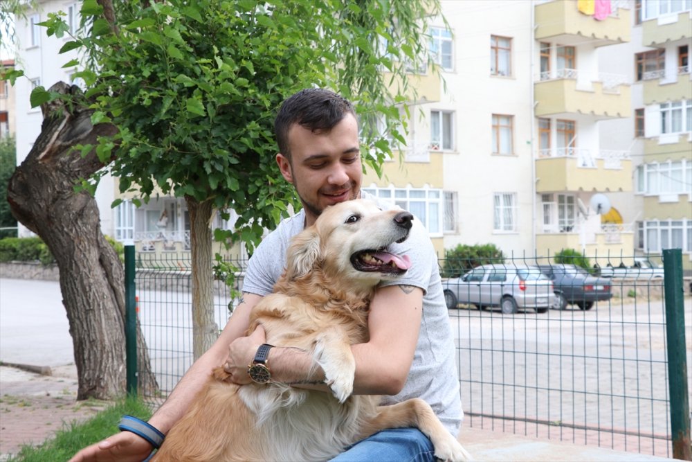 Hayvansever Gençten Sokak Hayvanlarına Mama Desteği