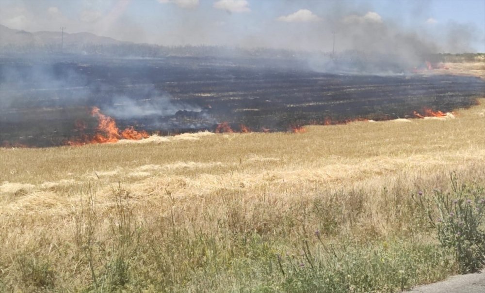 Kulu'da 3 Ayrı Yerde Çıkan Ekin Yangınında 50 Dekar Alan Yandı