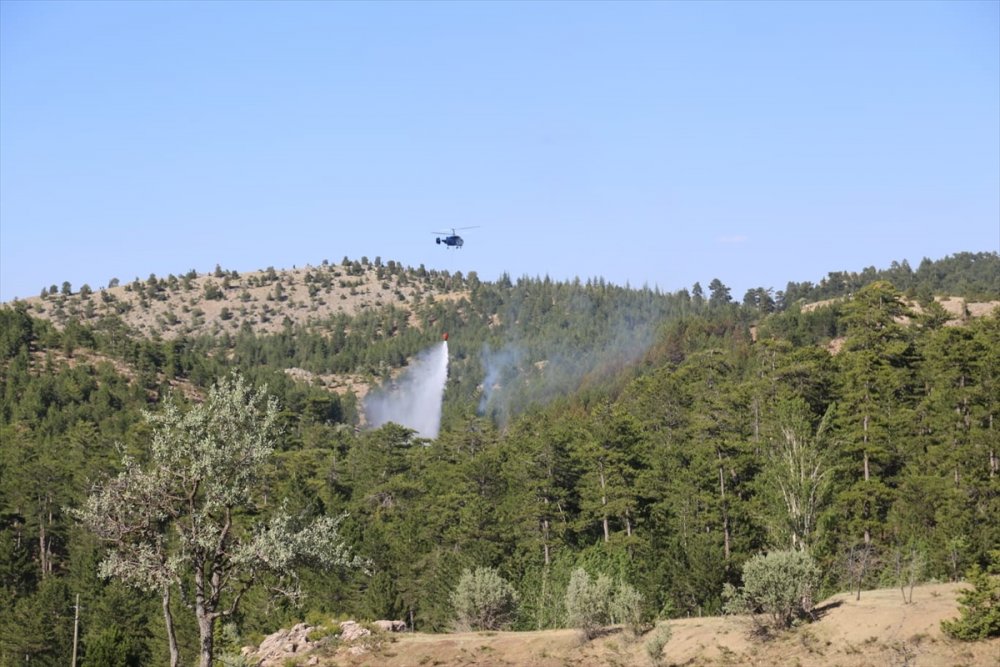 Konya Taşkent'te Orman Yangını