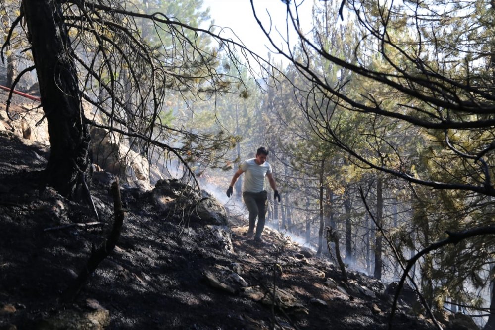 Konya Taşkent'te Orman Yangını