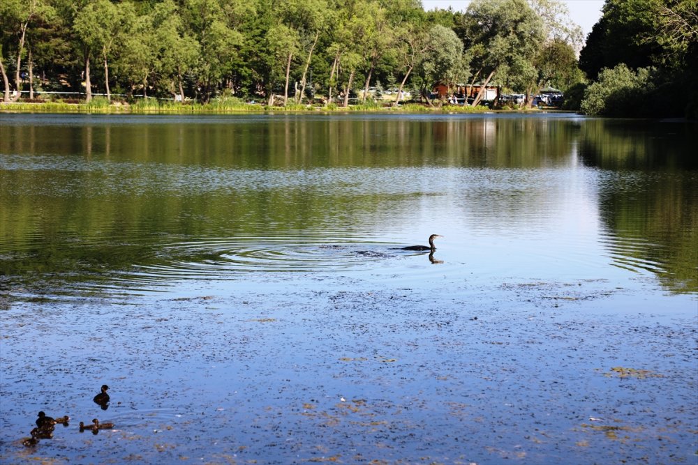 Ankara'nın Tabiat Harikası, Çubuk Karagöl