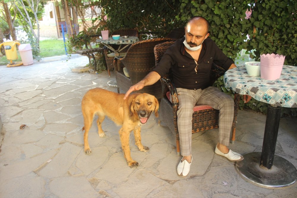 Su Verdiği Gün Sevimli Dostlukları Başladı