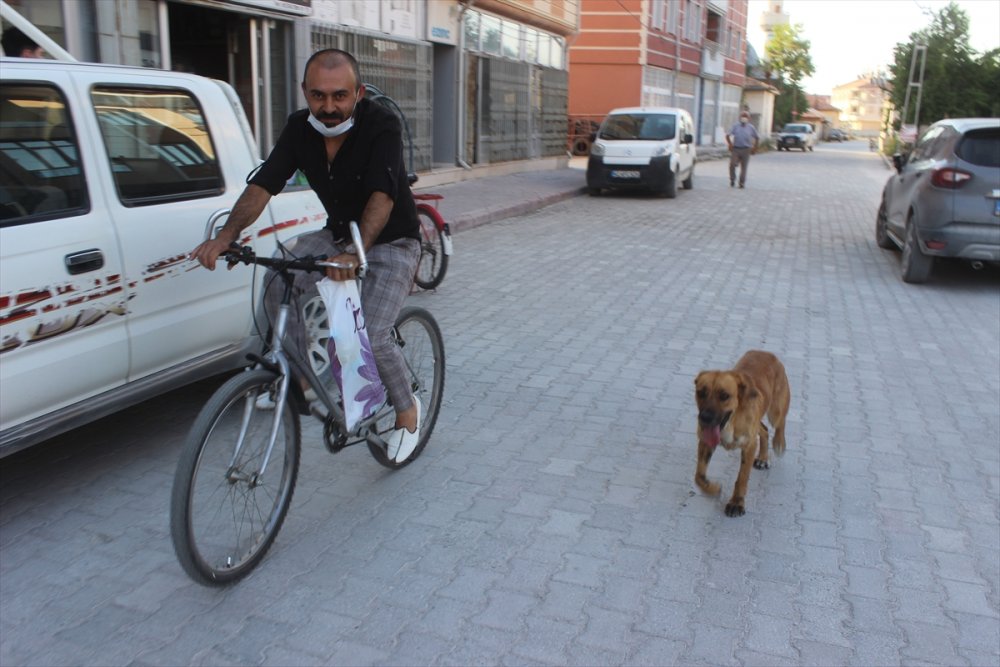 Su Verdiği Gün Sevimli Dostlukları Başladı