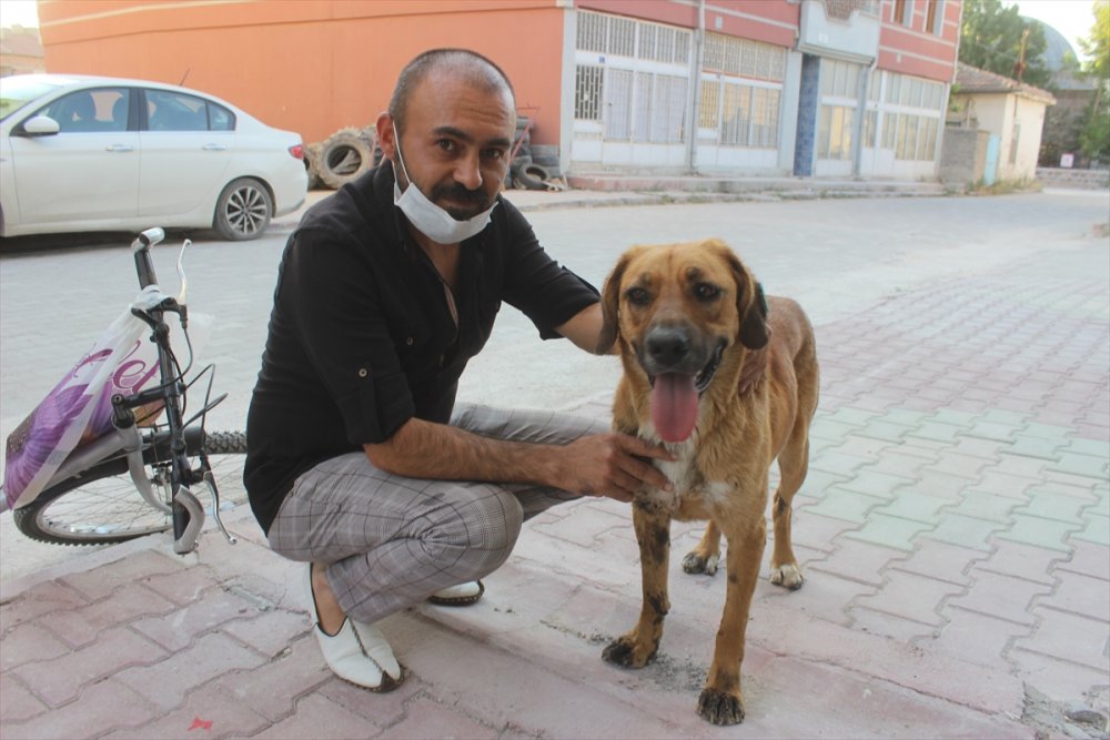 Su Verdiği Gün Sevimli Dostlukları Başladı