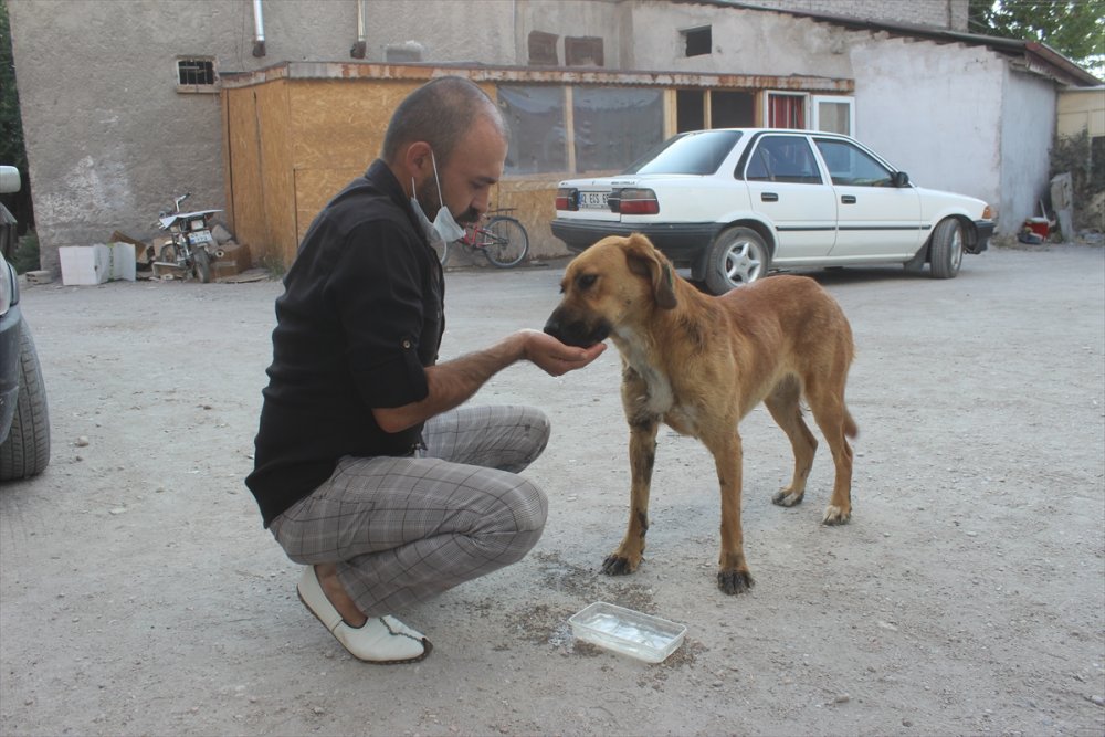 Su Verdiği Gün Sevimli Dostlukları Başladı
