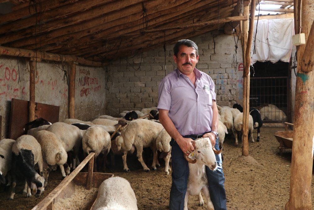 Karaman'da Kurban Hareketliliği Başlıyor
