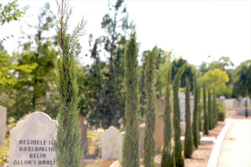 Karaman Şehir Mezarlığında Ağaçlandırma Çalışmaları