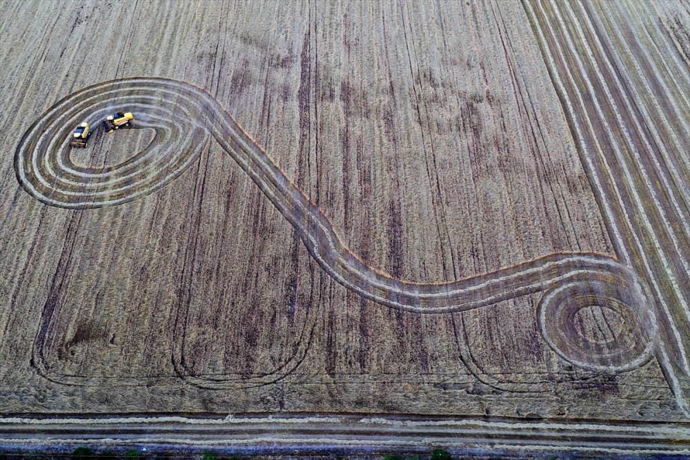 Türkiye'nin Tahıl Ambarında Hububat Hasadı Yüzleri Güldürüyor