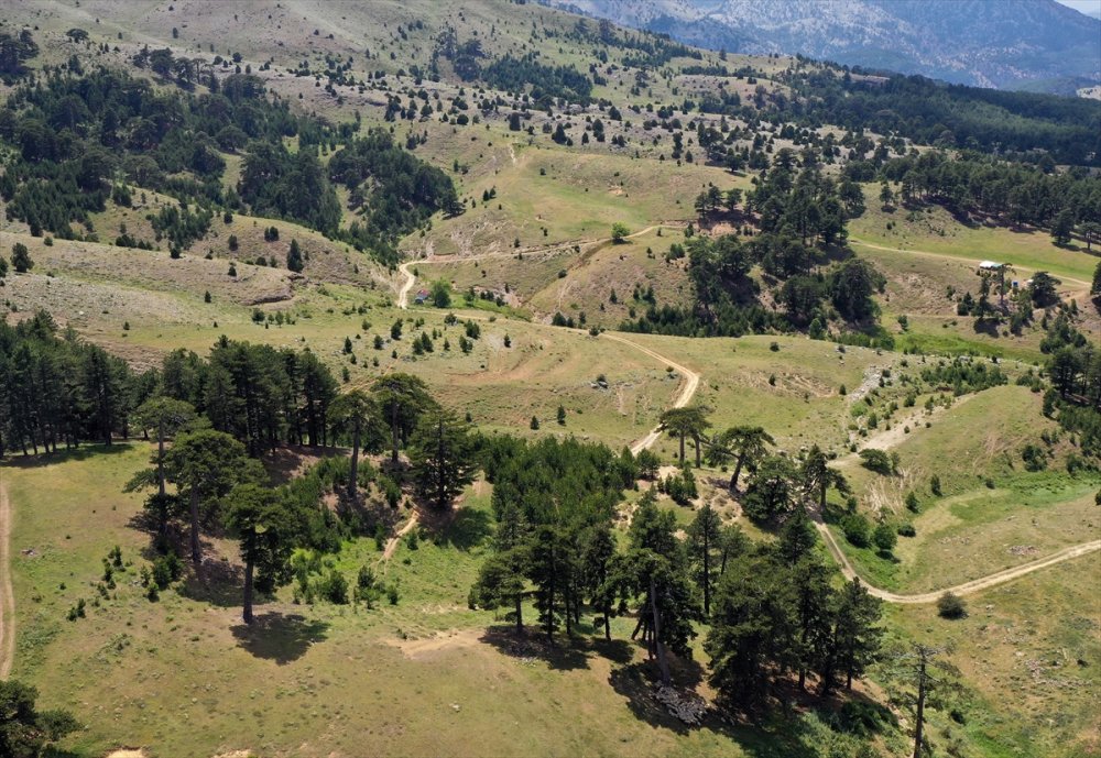 Konya'da Alternatif Tatil Planları Yaylalar