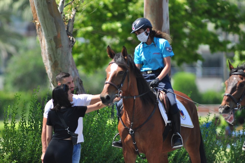 Antalya'da Atlı Jandarma Timi Görenlerin İlgisini Çekiyor