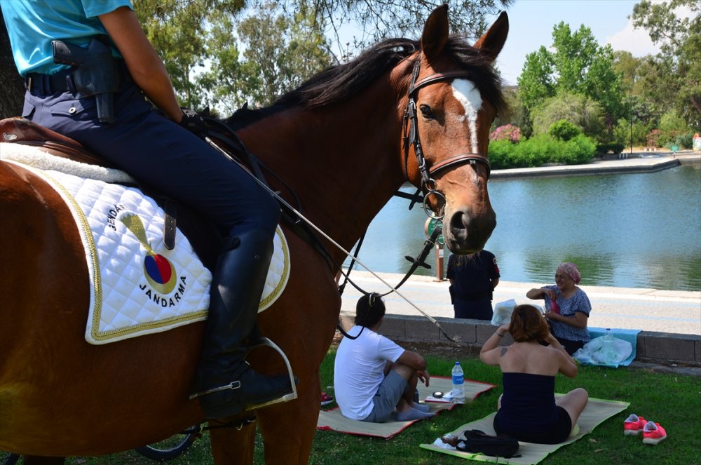 Antalya'da Atlı Jandarma Timi Görenlerin İlgisini Çekiyor