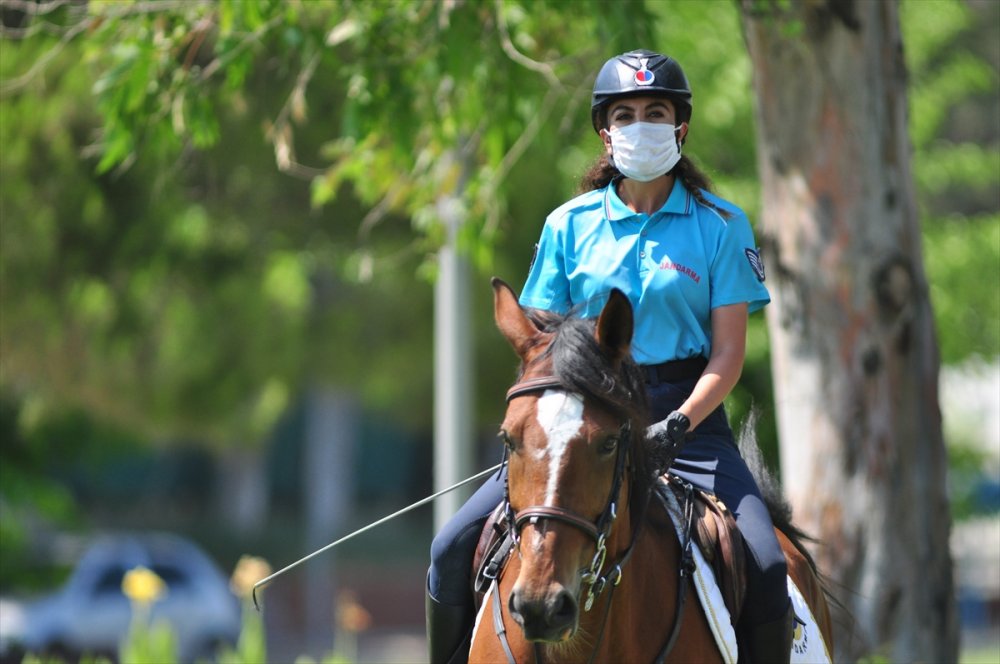 Antalya'da Atlı Jandarma Timi Görenlerin İlgisini Çekiyor