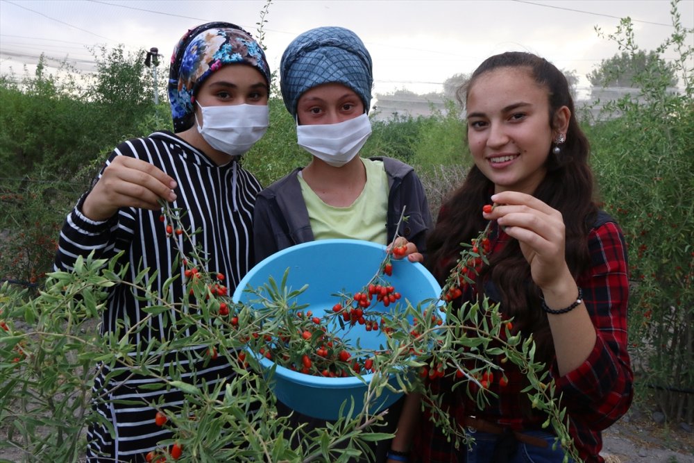 Aksaray Valisi Aydoğdu, Okulunu Bırakan Genç Kızı Duygulandırdı