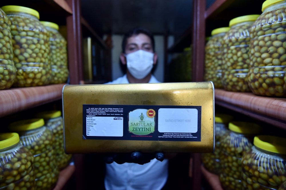 Tescilli Zeytinin Yağı Da Coğrafi İşaret Belgesi Yolunda