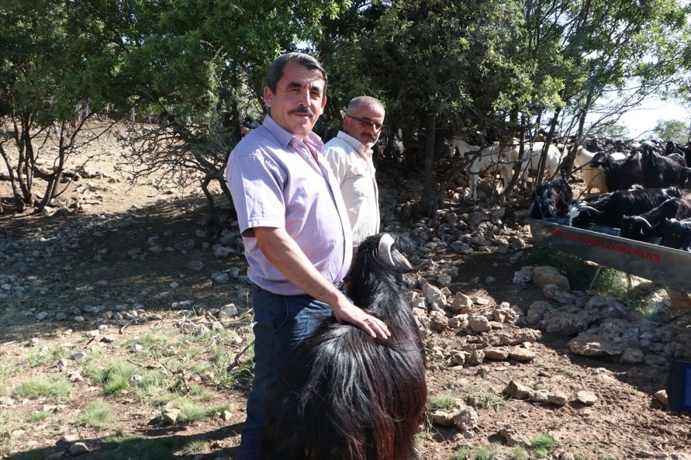 Kurban Bayramı Öncesi 