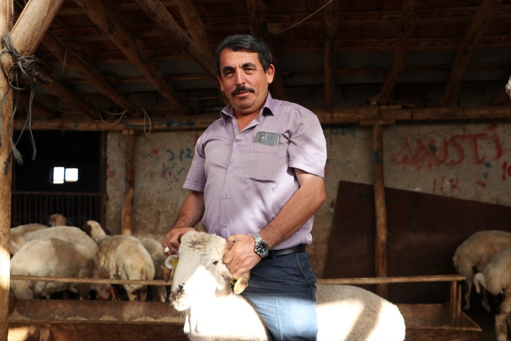 Kurban Bayramı Öncesi 