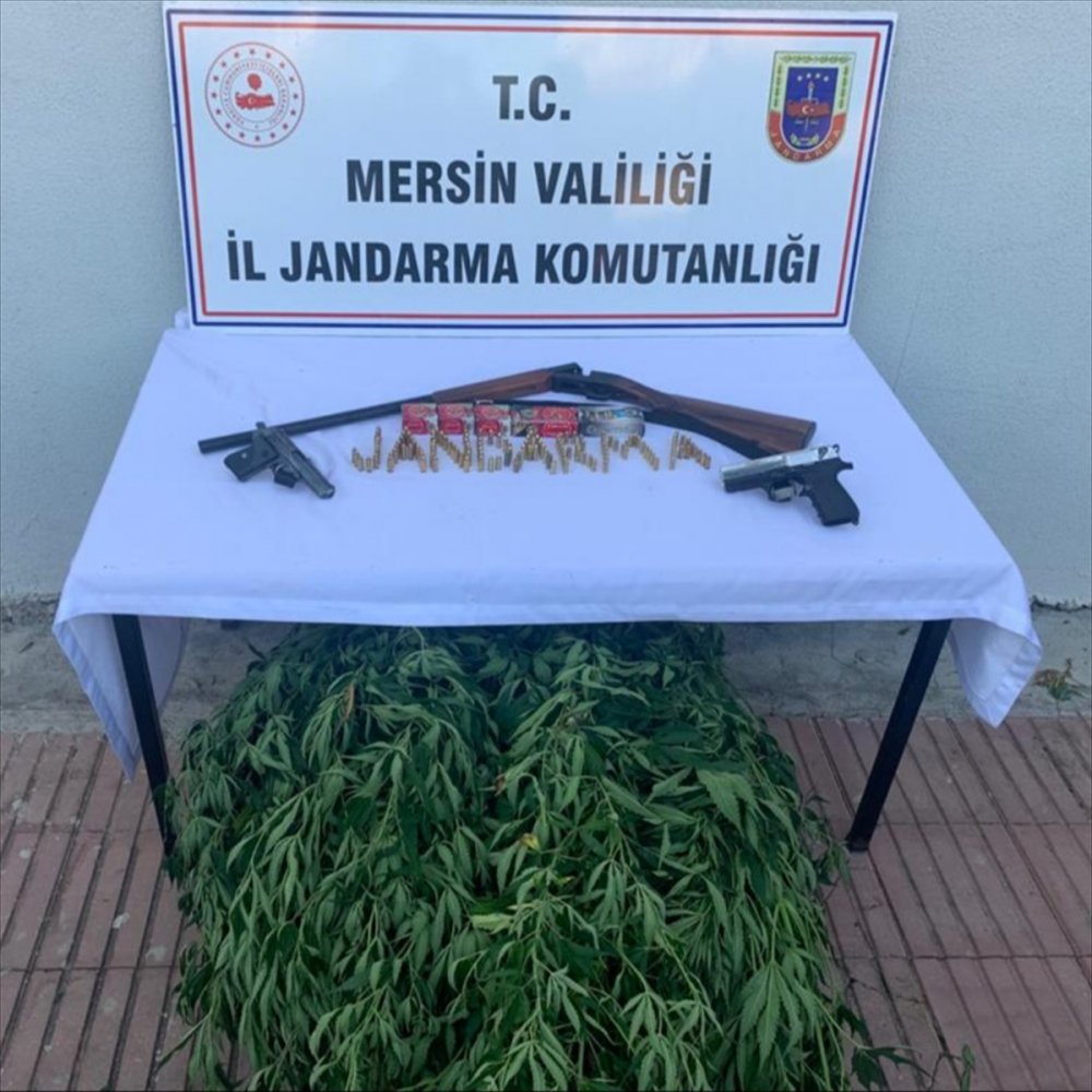 Mersin'de Bahçesinde Hint Keneviri Yetiştiren Şüpheli Gözaltına Alındı