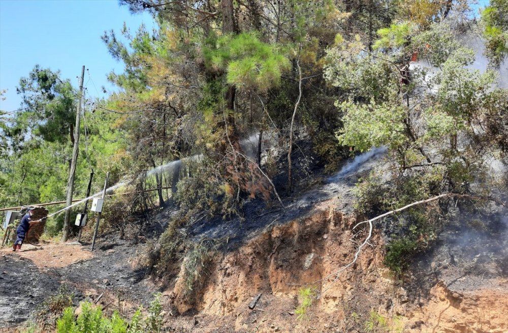 Antalya'da Panodan Çıkan Yangın Ormana Zarar Verdi