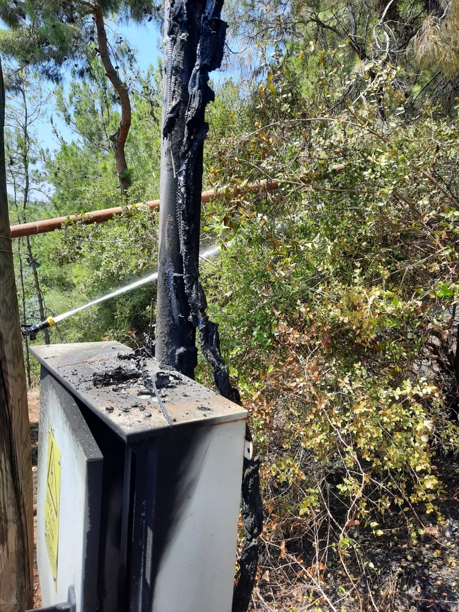Antalya'da Panodan Çıkan Yangın Ormana Zarar Verdi