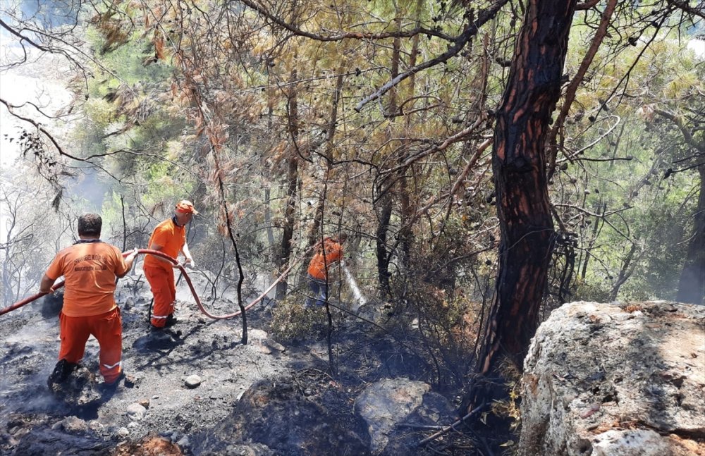 Antalya'da Panodan Çıkan Yangın Ormana Zarar Verdi