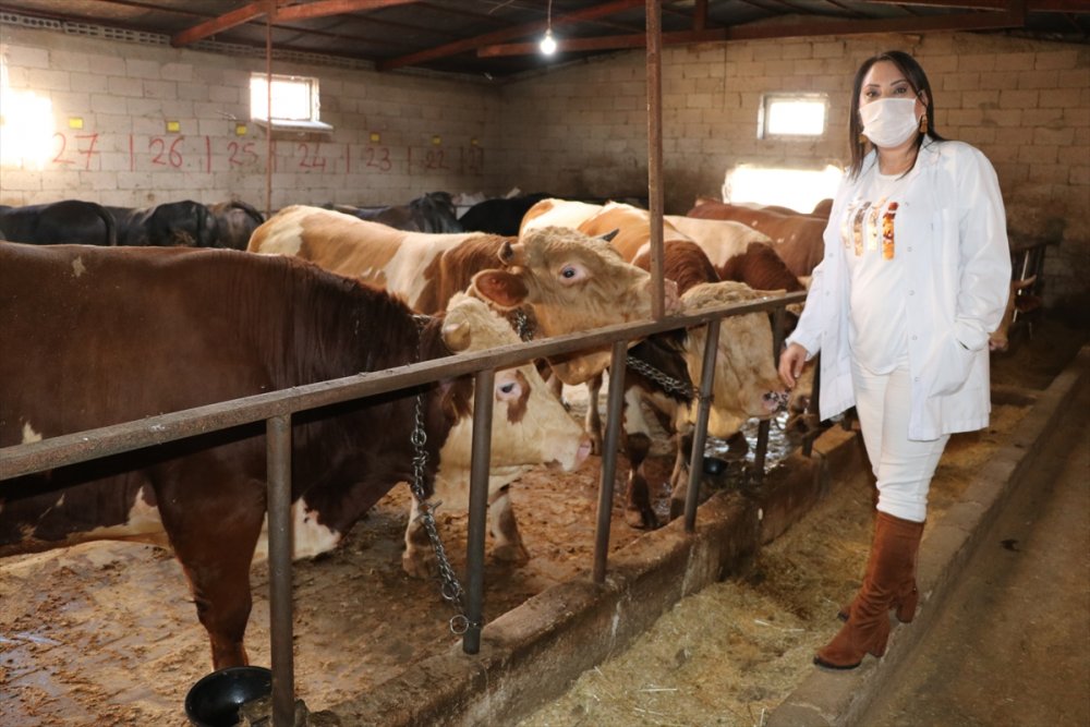 Niğde'de Kurban Kesiminde 