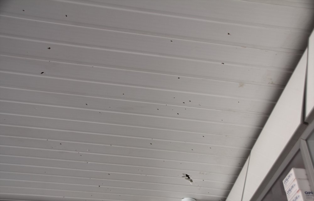 Antalya'da Eczaneye Silahlı Saldırı Zanlısı Yakalandı