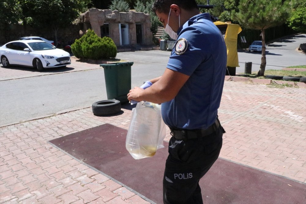 Mesire Alanında İşlettiği Kafeyi Ateşe Verdi