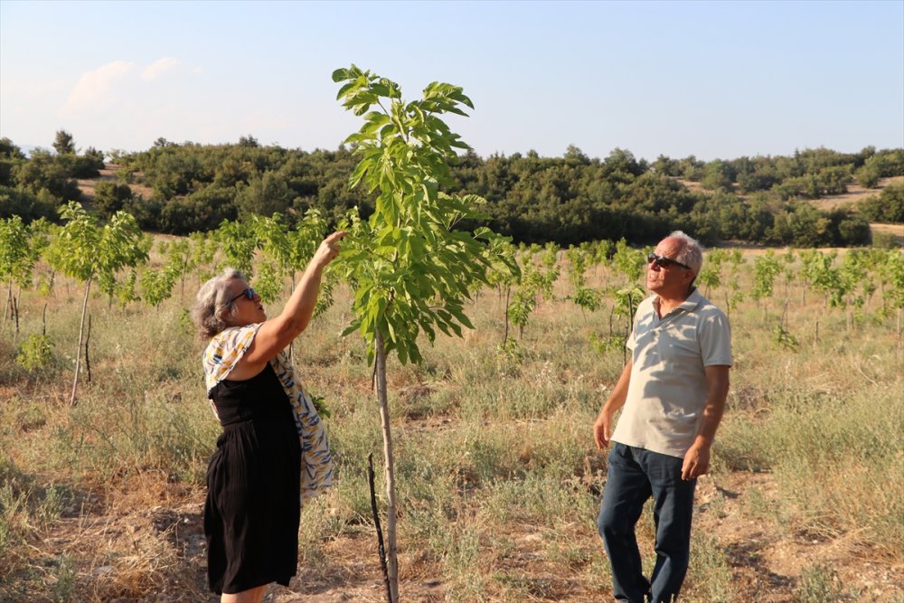 Başkent'in Hengamesinden Kaçıp Ermenek'te Üretici Oldular