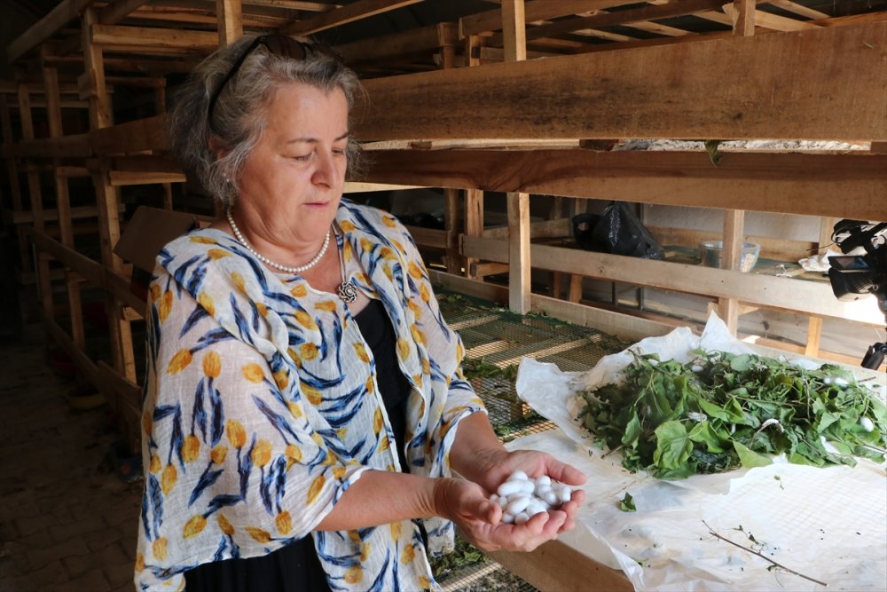 Başkent'in Hengamesinden Kaçıp Ermenek'te Üretici Oldular