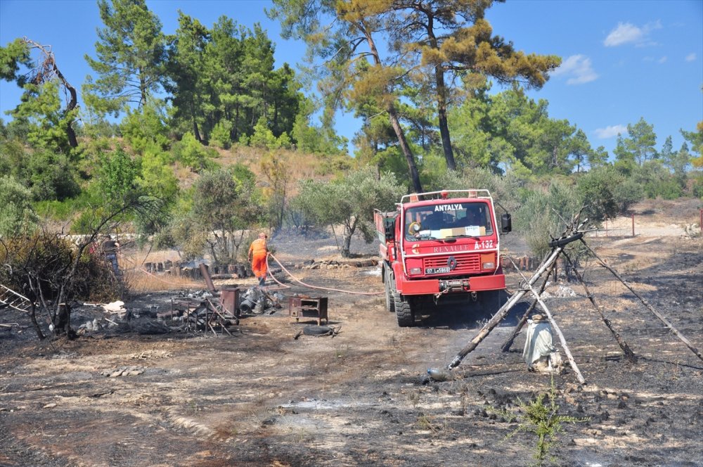 Antalya'da Çıkan Orman Yangını Söndürüldü