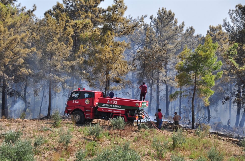 Antalya'da Çıkan Orman Yangını Söndürüldü