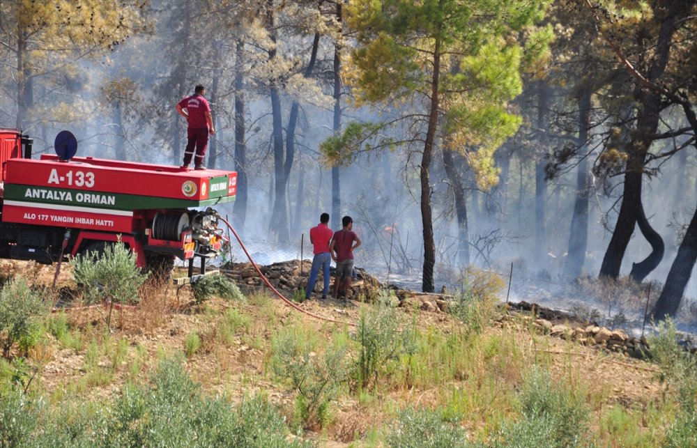 Antalya'da Çıkan Orman Yangını Söndürüldü
