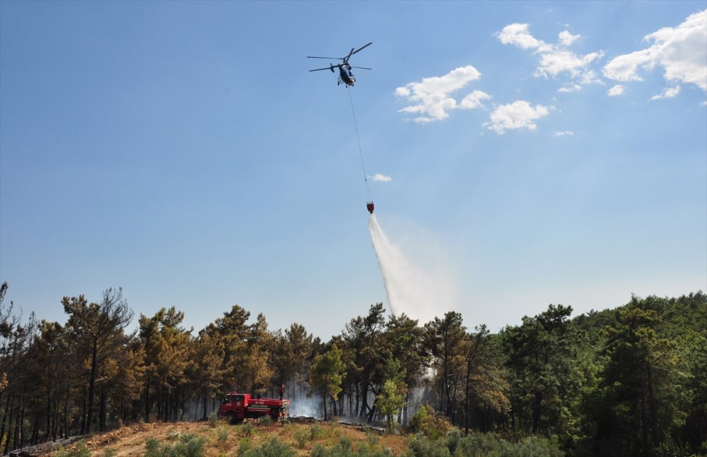 Antalya'da Çıkan Orman Yangını Söndürüldü