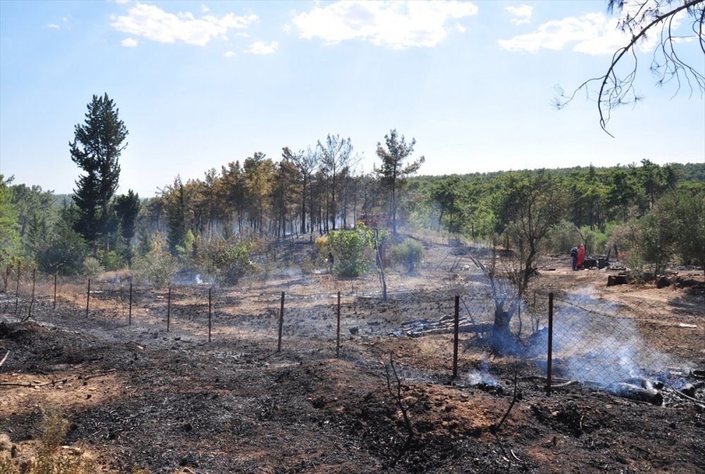 Antalya'da Çıkan Orman Yangını Söndürüldü