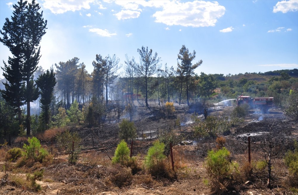 Antalya'da Çıkan Orman Yangını Söndürüldü