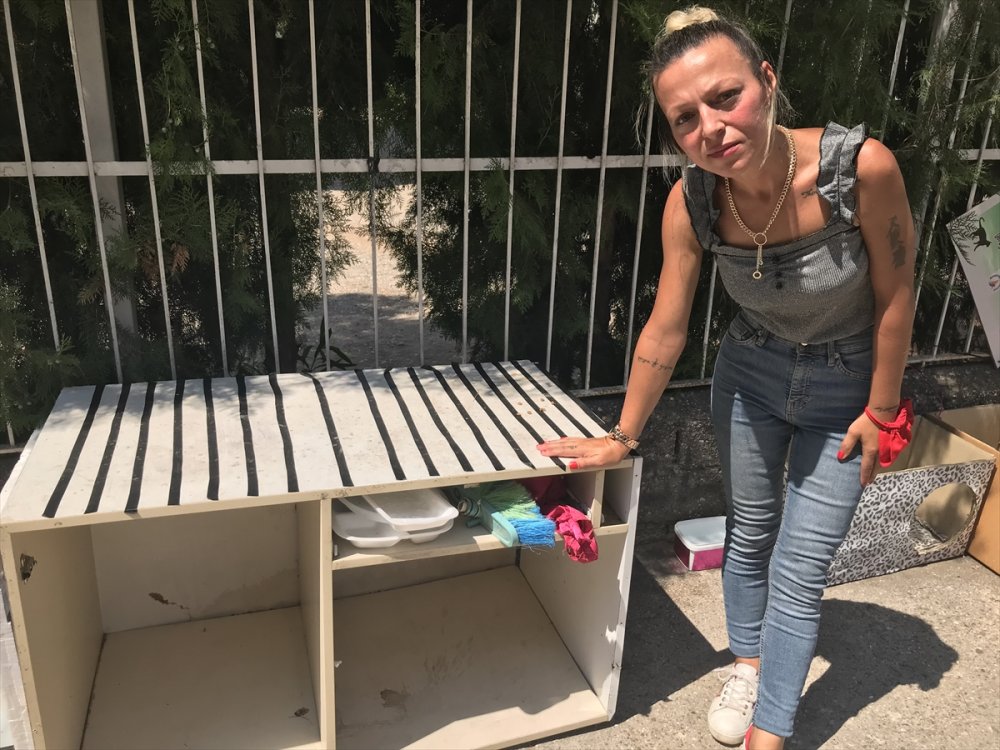 Hayvansever Kadın Sokak Kedilerinin Kulübelerine Zarar Verildiği İddiasıyla Şikayetçi Oldu