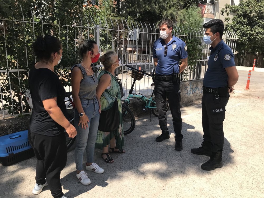 Hayvansever Kadın Sokak Kedilerinin Kulübelerine Zarar Verildiği İddiasıyla Şikayetçi Oldu