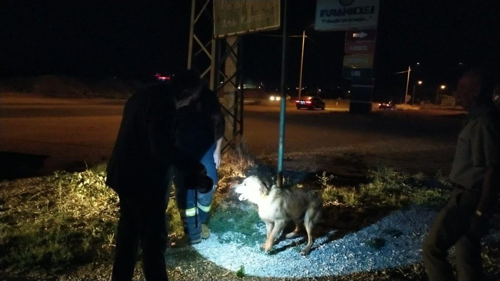 Konya'da Sulama Kanalına Düşen Köpeği İtfaiye Kurtardı