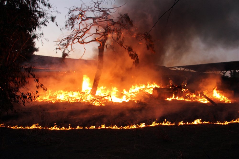 Mersin'de Araştırma Enstitüsünde Yangın Çıktı