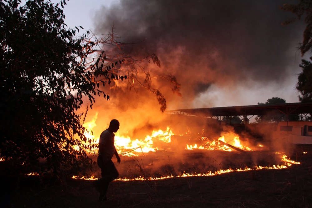 Mersin'de Araştırma Enstitüsünde Yangın Çıktı