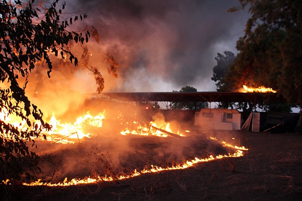 Mersin'de Araştırma Enstitüsünde Yangın Çıktı
