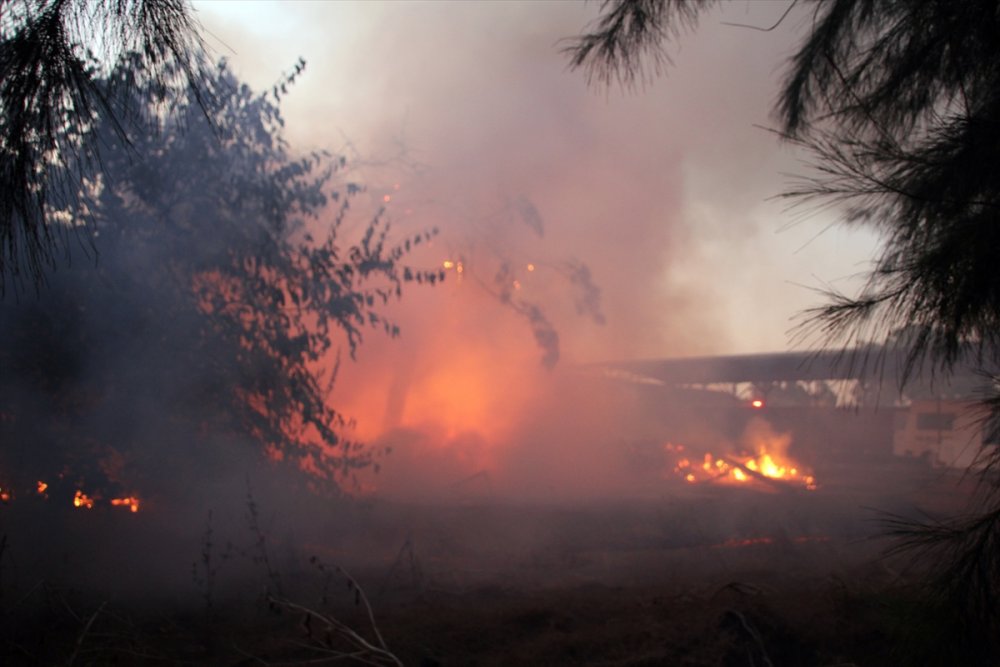 Mersin'de Araştırma Enstitüsünde Yangın Çıktı