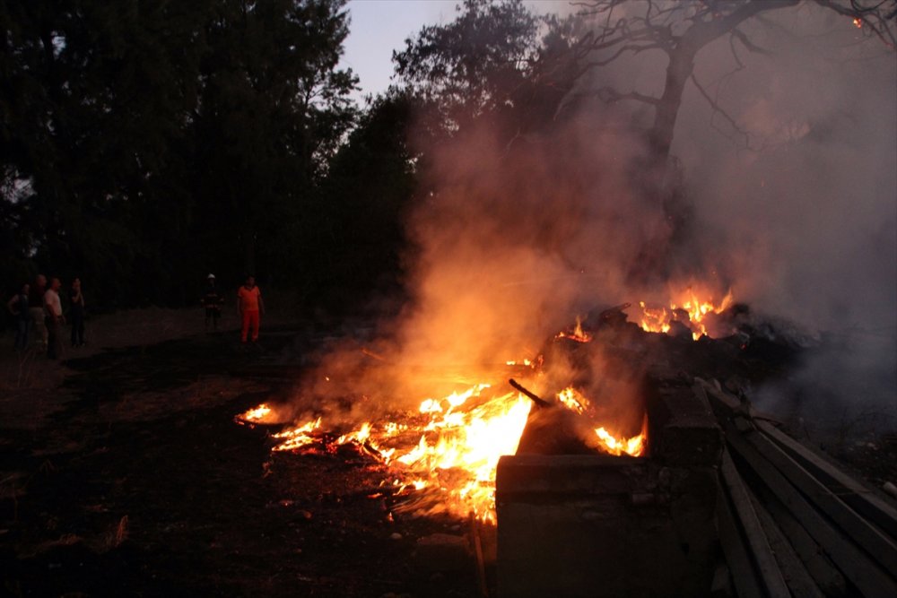 Mersin'de Araştırma Enstitüsünde Yangın Çıktı
