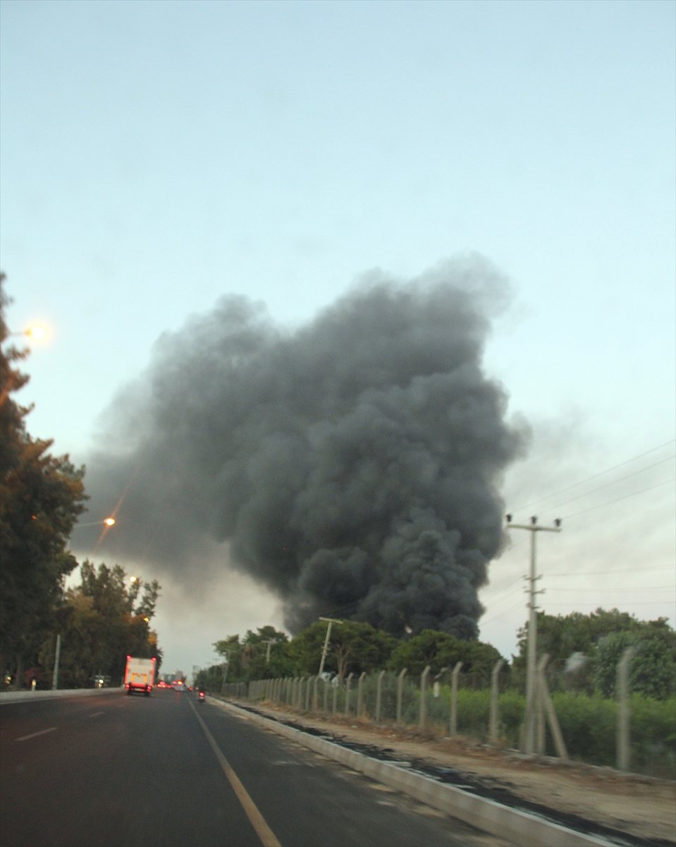 Mersin'de Araştırma Enstitüsünde Yangın Çıktı
