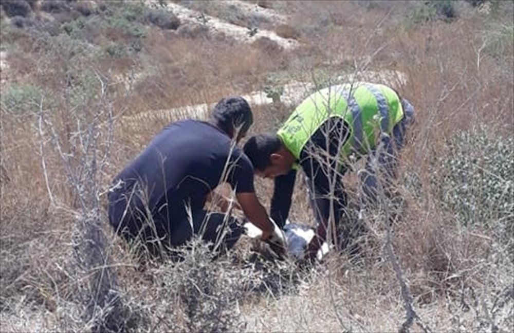 Mersin'de Bulunan Yaralı Leylek Tedaviye Alındı